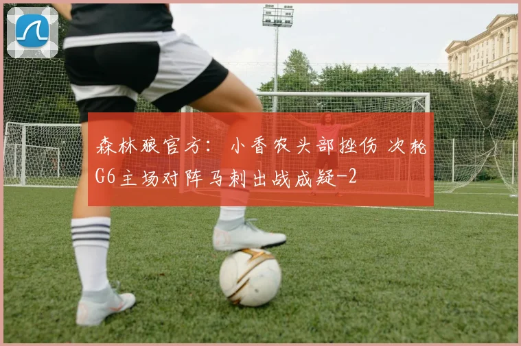 森林狼官方：小香农头部挫伤 次轮G6主场对阵马刺出战成疑