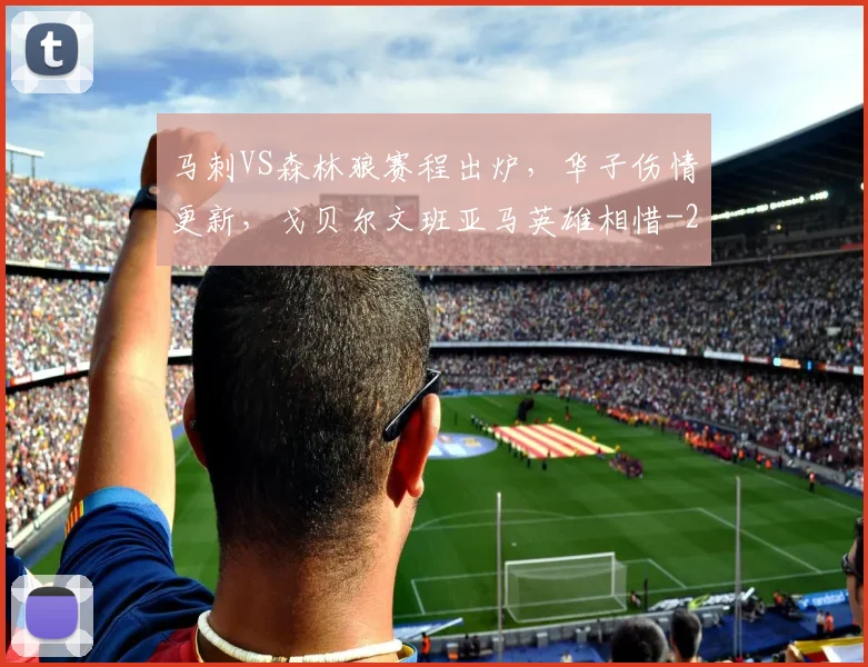 马刺VS森林狼赛程出炉，华子伤情更新，戈贝尔文班亚马英雄相惜